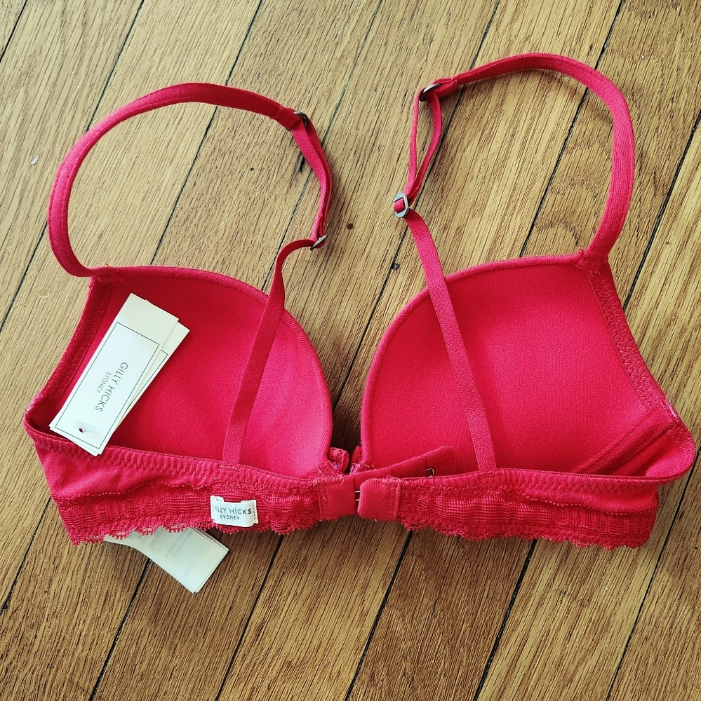 Gilly Hicks Push Em Up Plunge Red Lace Trim Padded Pushup Bra - Picture 3 of 4